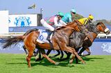 L’Ormarins King’s Plate 2026 the ultimate winner with fashion & historic runs