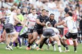 Plum: Sharks not clicking yet