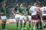 Stormers target Bok hooker