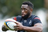 Plum: Sharks good to go with Boks