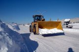 Mop-up operations underway in KwaZulu-Natal after heavy snowfall