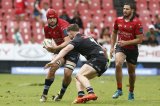 Injury boost for Lions ahead of Zebre showdown