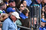 Jake: I need what Leinster have