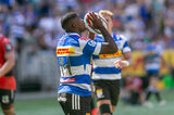 Stormers move to make Maart stay