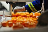 Agricultural sector defies global trade turbulence with robust export performance