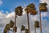 SAWS issues severe weather warning for cold, wet and windy on Thursday
