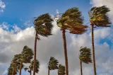 SAWS warns of harsh cold, wet, and windy conditions expected on Thursday