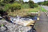 DA wants SAHRC to investigate metro’s river pollution