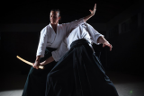 Chiropractor by day, Aikido teacher by night