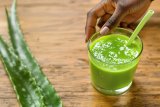 Aloe vera: Your body’s ‘bitter’ best friend