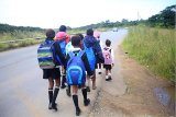 OPINION | Prioritising scholar transport a relief for pupils, parents