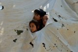 UN refugee agency plans to reduce spending by a fifth as cuts bite