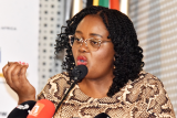 Justice DG Doc Mashabane disciplined for Madlanga commission delays