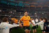 Wallaby World Cup captain quits rugby