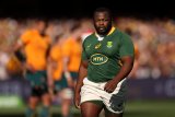 Wallabies can’t get close to these Boks