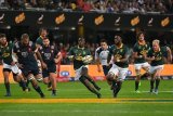 Springbok forced into retirement: ‘I had to do this’