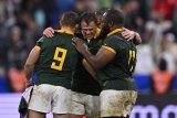 Stormers add Bok to Benetton mix