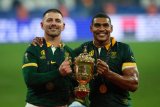 Poll: Pick your Bok fullback