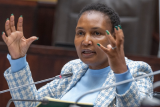 DA rejects Simelane, Nkabane departmental budgets