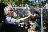 GARDEN ROUTE | Welcome to animal farm on the Garden Route