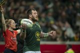 Bok coach Erasmus forced into late change with Venter drafted onto the bench for Wessels