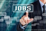 OPINION | Sharp job losses highlight a structural skills gap