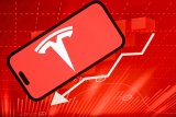 Tesla stares down a second year of dwindling sales