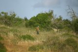 Vast police search for Madeleine McCann evidence launched in Algarve