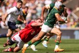 Edwill ‘leaning’ on Willie, Mapimpi in SA debut