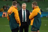 Wallabies wary of wounded Lions