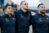 Argentina prop on Stormers’ shopping list
