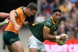 On This Day: Sacha inspires Boks to rare Brisbane win