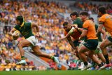 Boks ready to turn up the heat on shaky Wallabies