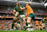 Rugby Champs tickets up for grabs