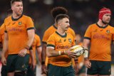 White to pause retirement for one more shot at Boks?