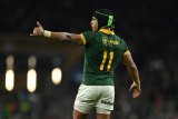 Pick ’em: Boks blitz Georgia, All Blacks feast on France