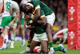 Pick ’em: Boks bury Baa Baas, Lions feast on Force