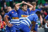 There’s hope among the Stormers wreckage