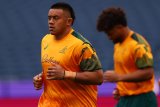 Wallabies heavy unfazed by Eden Park aura
