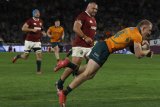 ‘Proud’ Schmidt hails Wallabies grit