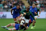 French firepower flattens Bok Women