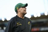 Kirwan: Rassie’s a South African god