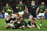 Rassie backs revival of All Blacks tours
