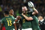 Injury blows as Rassie backs core group