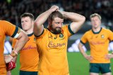 Schmidt ‘gutted’ over Eden Park defeat