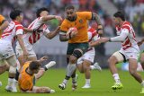 Wallabies rocked by lock injuries