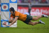 Wallabies pip Brave Blossoms in Tokyo