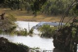 Devastating floods highlight need for trauma-informed educators