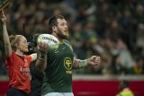 Venter buzzing for more Bok Test action