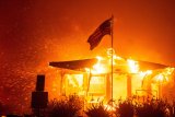 Study attributes 440 'excess deaths' to January's Los Angeles wildfires